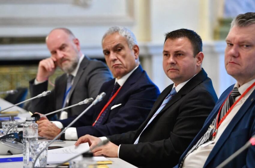  Deputatul Daniel Suciu, gazdă pentru peste 40 de parlamentari din 14 țări, în cadrul Adunării Parlamentare a NATO
