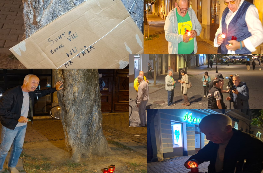  Protest pașnic în Piața Centrală: Ecologiștii bistrițeni i-au cerut primarului Gabriel Lazany să oprească tăierea arborilor maturi