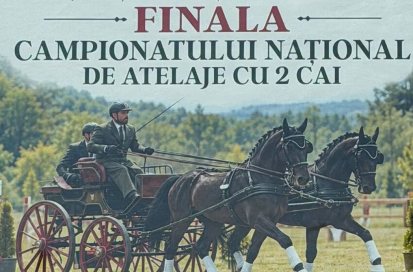  Becleanul găzduiește Finala Campionatului Național de Atelaje cu 2 Cai!