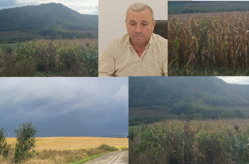  INTERVIU-Ioan Mate : Dacă Guvernul nu subvenționează substanțial motorina și îngrășămintele ne vom trezi cu terenuri părăsite, falimente în lanț și o mare criză alimentară