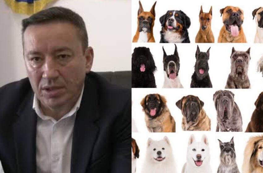  Primarul comunei Prundu Bârgăului, Doru Crișan, le reamintește cetățenilor obligațiile legale privind deținerea animalelor