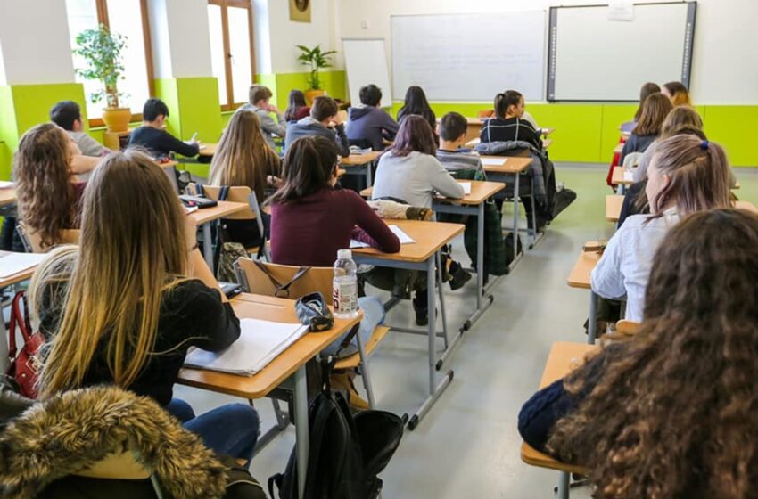  Consiliul Național al Elevilor cere investiții mai mari în educație și măsuri pentru deficitul de profesori