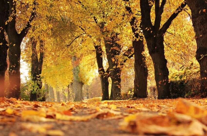  Vreme rece și mohorâtă în Bistrița-Năsăud! Ploile își fac simțită prezența în weekend